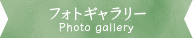フォトギャラリーはこちら