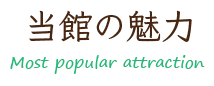 当館の魅力・Most popular attraction