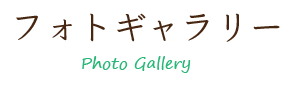 フォトギャラリー・Photo Gallery